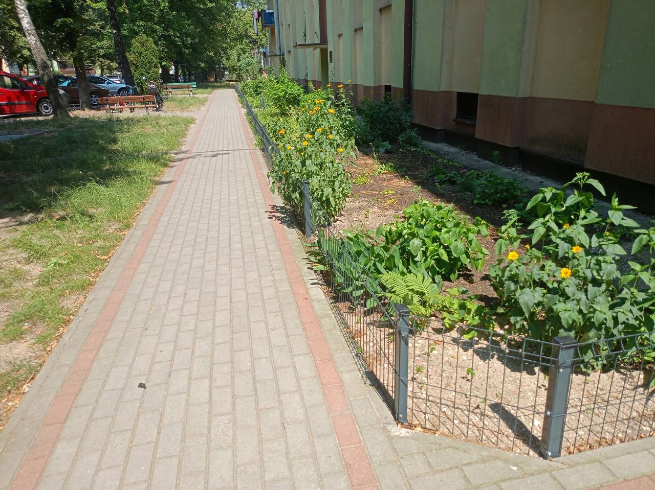 Płotek zabezpieczający kwietnik przed psami